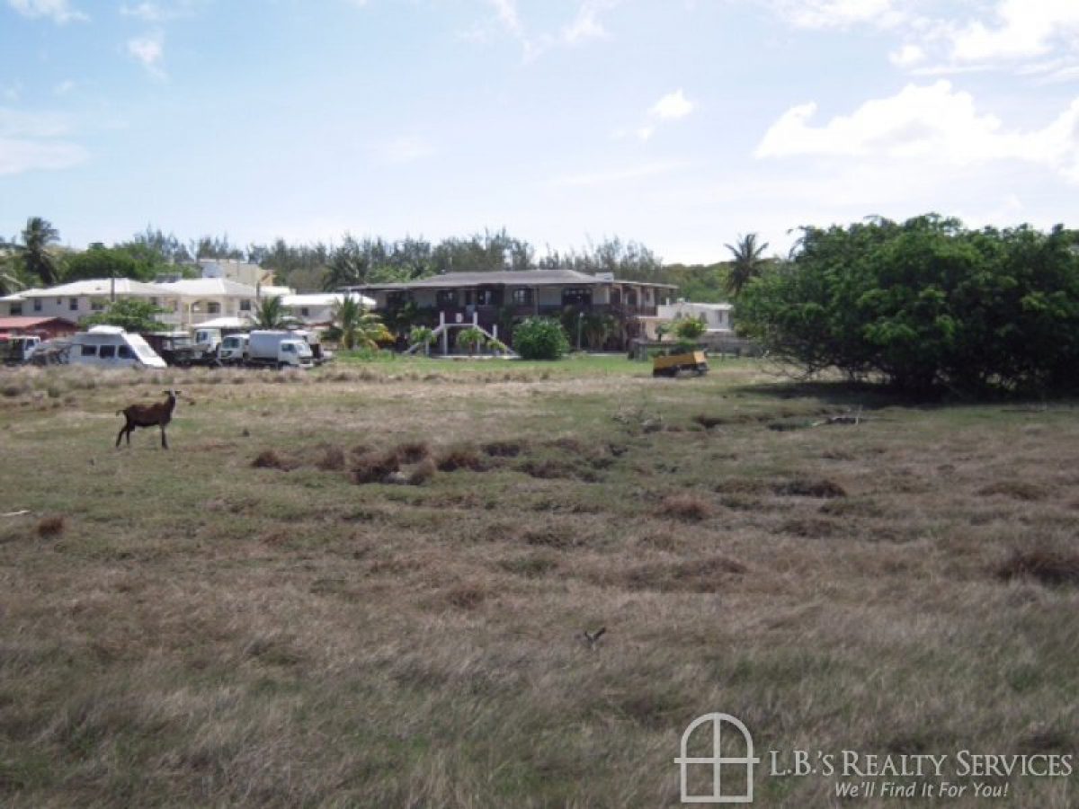 Maxwell Christ Church L.B.'s Realty Services