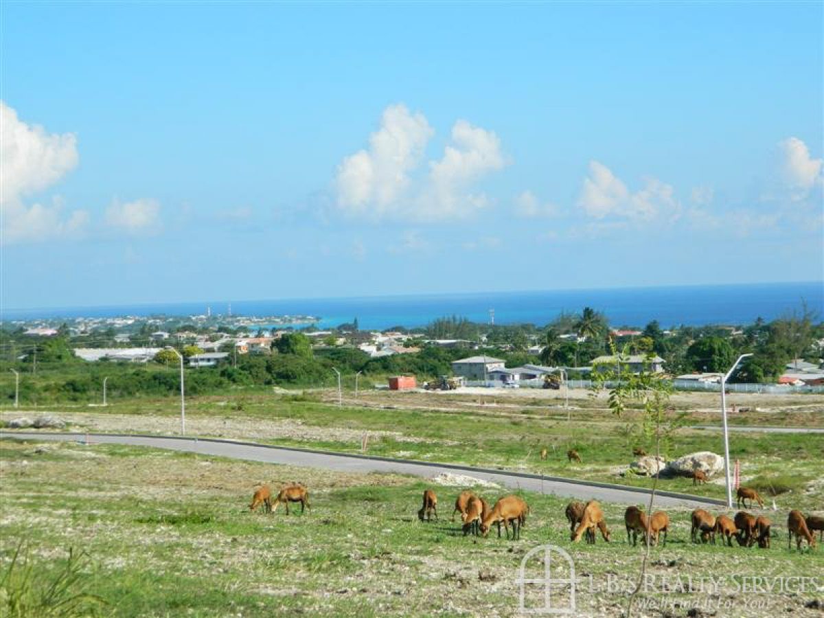 Adams Castle Estate Barbados L.B.'s Realty Services