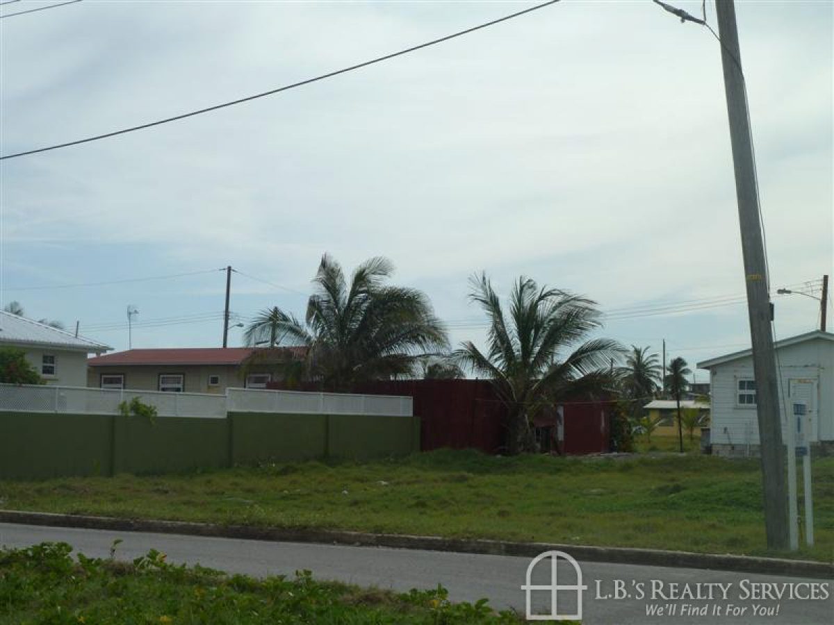 Johnsons Land L.B.'s Realty Services